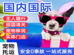 成都天府机场托运国际宠物托运 【国